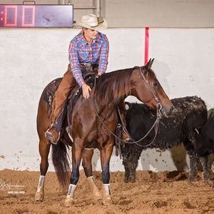 Meet your Posher, Timman